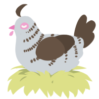 A mist and bark chicken with a half-bar pattern