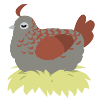 A ash and russet chicken with a half-lace pattern