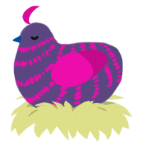BI PRIDE, a overcast and fuchsia chicken with a bar pattern