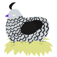 The Yoinky Sploinky, a mist and sable chicken with a lace pattern