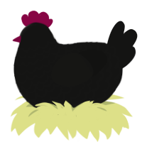 HARKNESS, a black chicken with a lace pattern