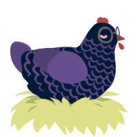 Soren, a tumblr and overcast chicken with a lace pattern