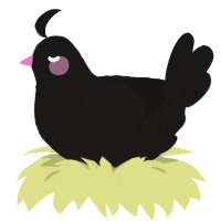 Bouncer, a sable chicken with a lace pattern