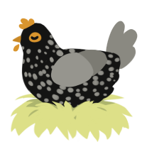 A black and ash chicken with a speckle pattern