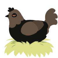 Dani, a black and bark chicken with a head pattern