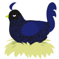 A sable and navy chicken with a double-lace pattern