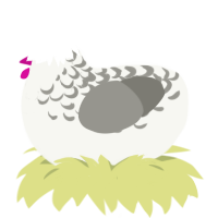 Lily of the Valley, a white and ash chicken with a half-lace pattern