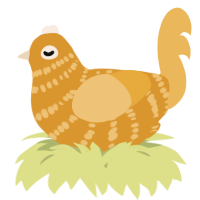 A orange and honey chicken with a bar pattern