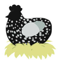 A black and silver chicken with a speckle pattern