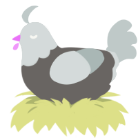 Steelia, a grey and silver chicken with a head pattern