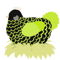 A black and lime chicken with a lace pattern