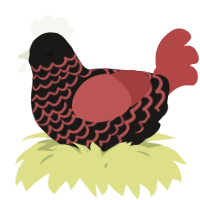 A sable and red chicken with a lace pattern