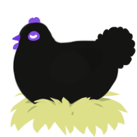 A black chicken