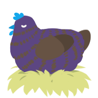 A overcast and bark chicken with a bar pattern