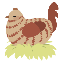 A beige and russet chicken with a bar pattern