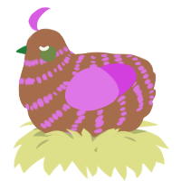 A brown and orchid chicken with a bar pattern