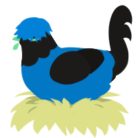 todd howard, a sapphire and sable chicken with a head pattern