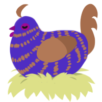 Itin, a indigo and brown chicken with a bar pattern