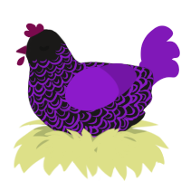 A sable and violet chicken with a double-lace pattern