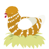 Mocha, a ochre and white chicken with a bar pattern