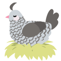 A mist and grey chicken with a lace pattern