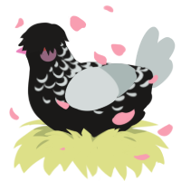 Lilith, a sable and silver chicken with a half-lace pattern