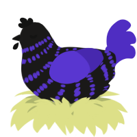 A sable and indigo chicken with a bar pattern