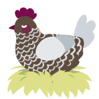A bark and mist chicken with a lace pattern