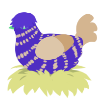 A indigo and beige chicken with a bar pattern