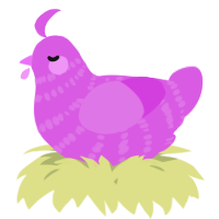 A orchid chicken with a bar pattern