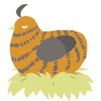 A orange and grey chicken with a bar pattern