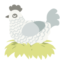 A white and silver chicken with a lace pattern