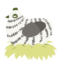 (unnamed), a white and grey chicken with a bar pattern