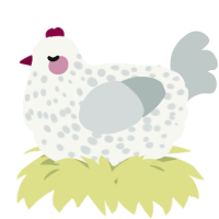 A white and silver chicken with a speckle pattern