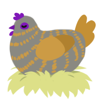 Gold silver, a ash and gold chicken with a bar pattern