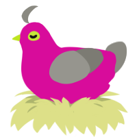 A fuchsia and ash chicken