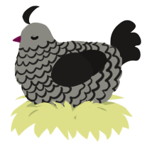 A ash and sable chicken with a lace pattern