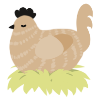 A beige chicken with a bar pattern