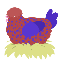 A red and indigo chicken with a speckle pattern