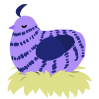 Computer Blue Jr, a lilac and navy chicken with a bar pattern
