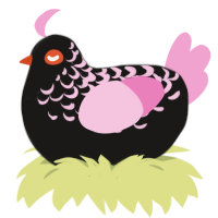 Umbra, a sable and pink chicken with a half-lace pattern