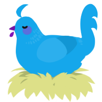 A sky chicken with a neck-band pattern