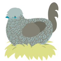 Thick Fog, a silver and ash chicken with a double-lace pattern