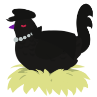 A sable and black chicken with a half-lace pattern