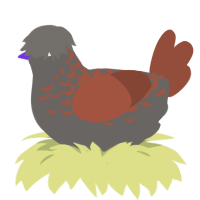 (unnamed), a grey and russet chicken with a half-lace pattern