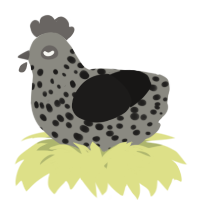 A ash and sable chicken with a speckle pattern
