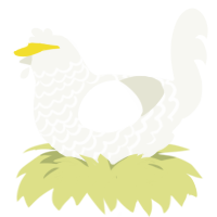A white chicken with a lace pattern