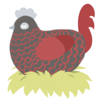 Simmer SG, a grey and red chicken with a lace pattern