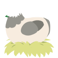 Mystery of Love, a cream and ash chicken with a head pattern