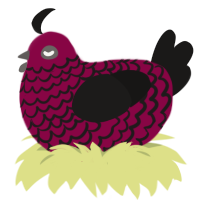 (unnamed), a maroon and sable chicken with a lace pattern